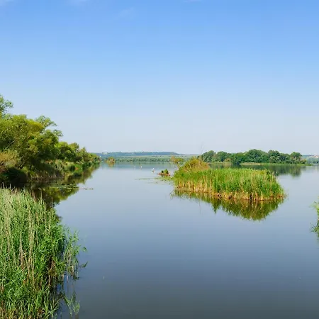 Apartamento - Balaton 19286